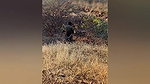 desi outdoor sex of cheating bhabhi viral xxx