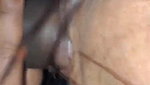 Indian blowjob wife doggy viral sex with hubby