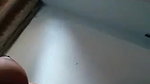 Tamil xxx girl naked perfect body curves exposed