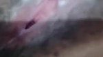 horny Indian girl fingering latest video