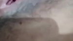 horny Indian girl fingering latest video