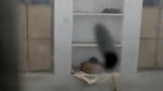 desi fingering bhabhi act recorded secretly
