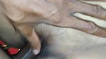 Bangladeshi Bhabi Sex With Lover Viral Clip