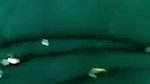 Indian Girl Showing White Boobs On Video Call