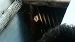 Desi wife bathing caught while hubby doing video