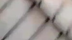 Pakistani mature aunty showing boob on cam viral clip