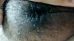 hairy armpits Bengali girl juicy boobs show