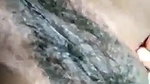 Bushy pussy Indian girl nude teasing video