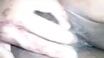 cute Bengali girl nude fingering hot video