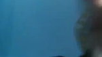 Pakistani Pathan couple self made sex video