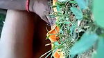 Desi Dehati girl fucked in jungle by her boyfriend