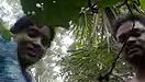 Dehati neighbor wife secret sex outdoors