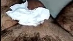 Hot Punjabi Bhabhi giving blowjob
