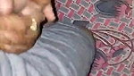 Milk tanker Bhabhi fucking sex MMS