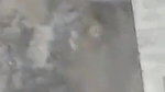 Newly Married Tamil Wife Giving Blowjob Fucking