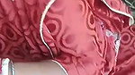 Desi Bhabhi Giving Blowjob Outdoors MMS