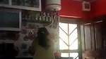Incest village bhabhi showing milky boobs