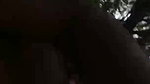 Desi lovers outdoor sex captured on cam