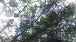 Desi lovers outdoor sex captured on cam