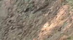 Desi lovers outdoor sex captured on cam