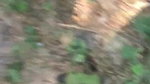 Desi lovers outdoor sex captured on cam