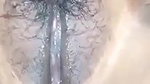 Tamil wife hairy pussy fingering by husband
