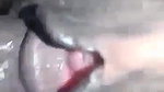 village bhabhi sex affair pussy fucking by lover