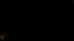 Horny Girlfriend Sucking Dick