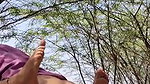 Desi aunty hot