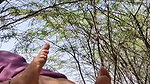 Desi aunty hot