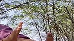 Desi aunty hot