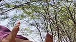 Desi aunty hot