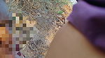 Desi aunty outdoor village