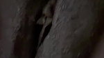 treat for mature Mallu pussy lovers