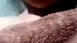 Bangladeshi Girl Showing Boobs On Video Call