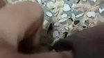 Bangladeshi cute chashmish girl fingering
