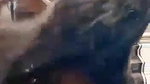 Desi girl blowjob and riding sex with lover