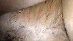 eq4bfz95 GF showing boobs and hairy pussy to lover