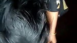 Mallu bhabhi blowjob to hubby pov oral sex