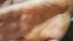 Bangladeshi girl showing big boobs live
