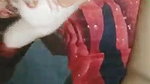Village bhabhi dick sucking cum swallowing
