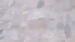 Paki bhabhi nude pussy captured by devar