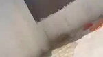 Paki bhabhi nude pussy captured by devar