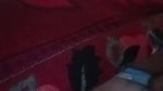 chacha chachi mature sex fun at home MMS