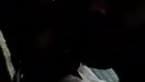 Desi village bhabhi sex with devar video MMS