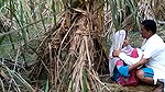 Indian village bhabhi outdoor fucking scandal