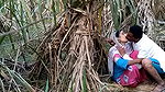 Indian village bhabhi outdoor fucking scandal