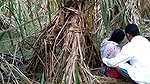 Indian village bhabhi outdoor fucking scandal