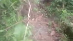 outdoor pissing xx porn