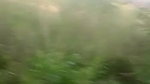 outdoor pissing xx porn